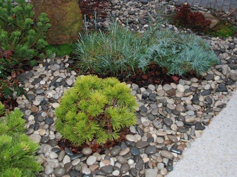 Полиуретановое связующее для камня tubag GaLaDesign фото